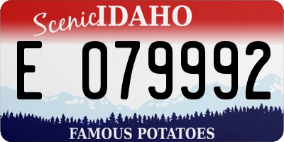 ID license plate E079992