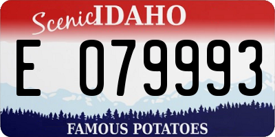 ID license plate E079993