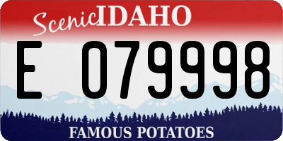 ID license plate E079998