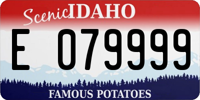 ID license plate E079999