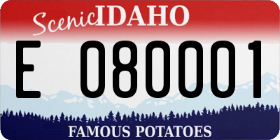 ID license plate E080001