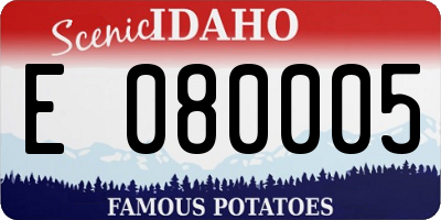 ID license plate E080005