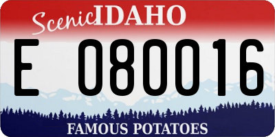 ID license plate E080016