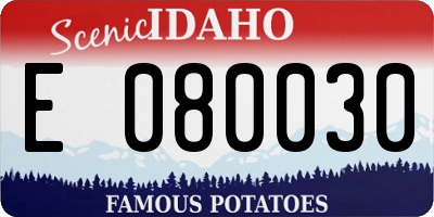 ID license plate E080030
