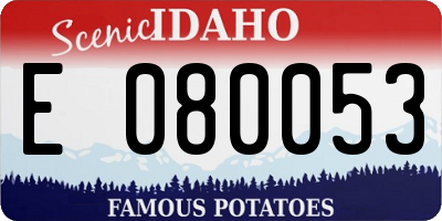 ID license plate E080053