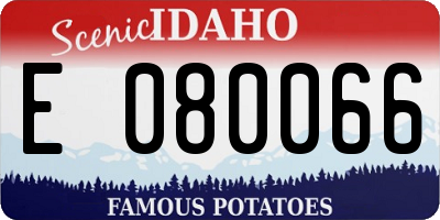 ID license plate E080066