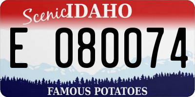 ID license plate E080074