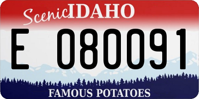 ID license plate E080091
