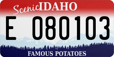 ID license plate E080103