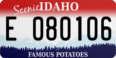 ID license plate E080106
