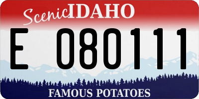 ID license plate E080111