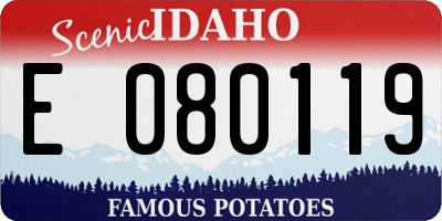 ID license plate E080119