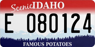 ID license plate E080124