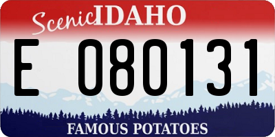 ID license plate E080131