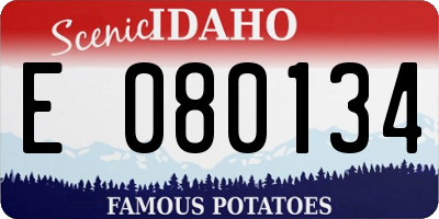 ID license plate E080134