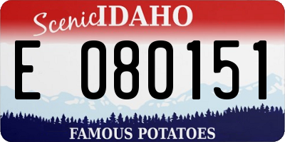 ID license plate E080151