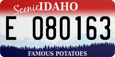 ID license plate E080163