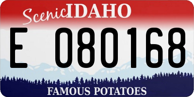 ID license plate E080168