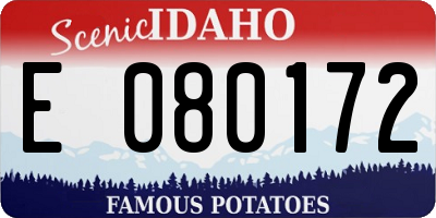 ID license plate E080172