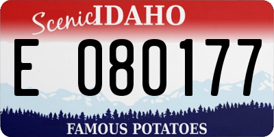 ID license plate E080177
