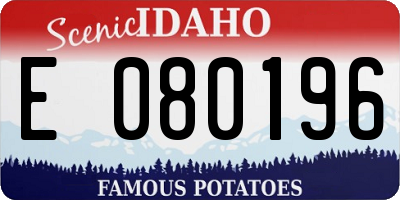 ID license plate E080196