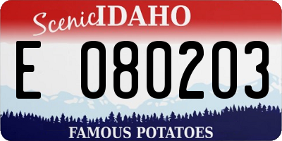 ID license plate E080203