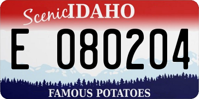 ID license plate E080204