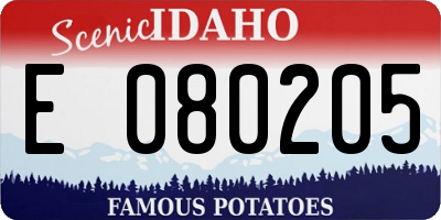ID license plate E080205