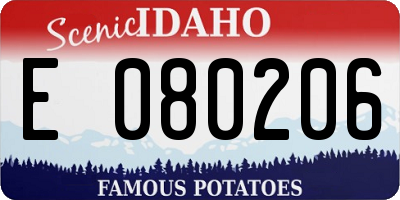 ID license plate E080206