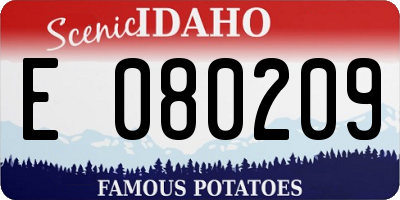ID license plate E080209