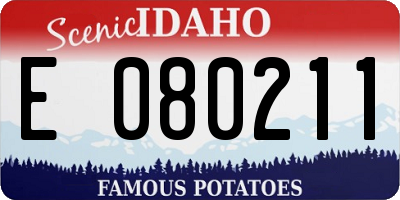 ID license plate E080211