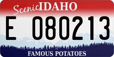 ID license plate E080213