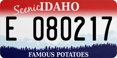 ID license plate E080217