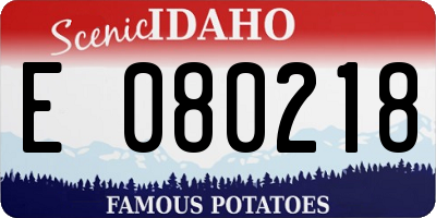 ID license plate E080218