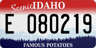 ID license plate E080219