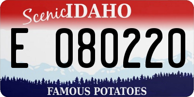 ID license plate E080220