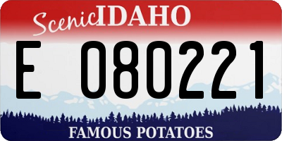 ID license plate E080221
