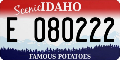 ID license plate E080222