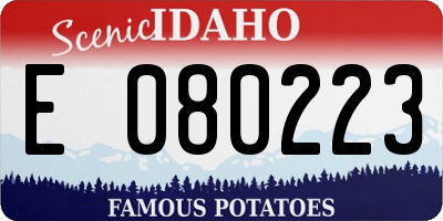 ID license plate E080223