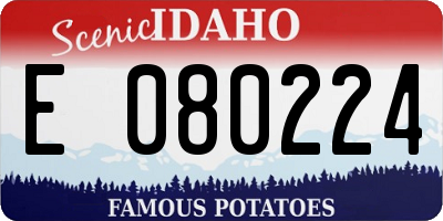 ID license plate E080224