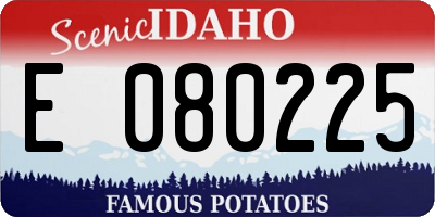 ID license plate E080225