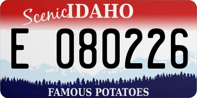 ID license plate E080226