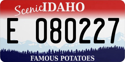 ID license plate E080227