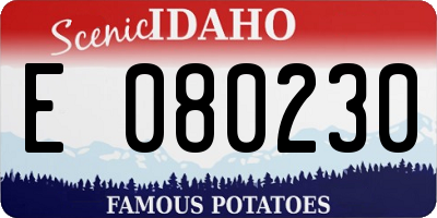 ID license plate E080230
