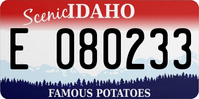 ID license plate E080233