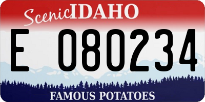 ID license plate E080234