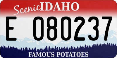 ID license plate E080237