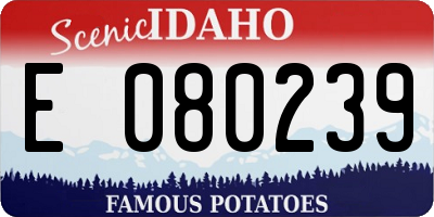 ID license plate E080239
