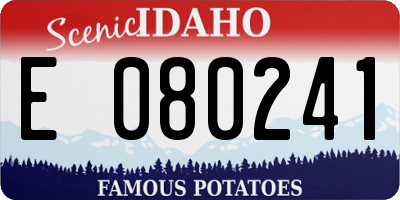 ID license plate E080241