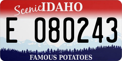 ID license plate E080243